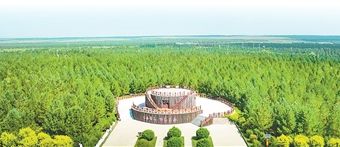 新时代青年畅谈投身生态环保事业