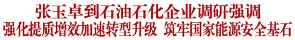 张玉卓到石油石化企业调研