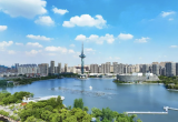 黄海之滨绿潮涌