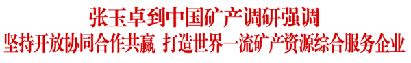 张玉卓到中国矿产调研