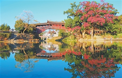 bb41d1d5-a18a-4efb-83e7-4e0a4c6ec6f9