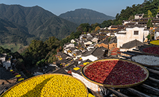 瞄准山区农民持续增收的靶向政策体系设计