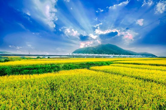 来源：延边州委宣传部