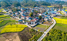 因地制宜发展壮大新型农村集体经济
