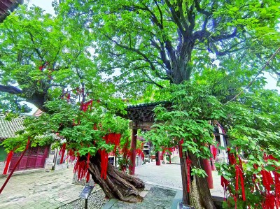 res0107_attpic_brief