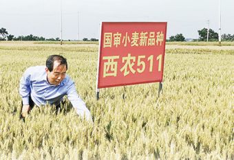 这个西北小城何以走出28位院士