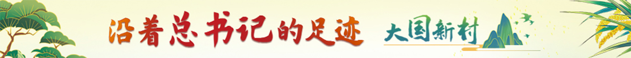 大国新村：沿着总书记的足迹