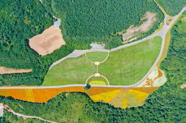 鞍钢矿业开展矿山修复