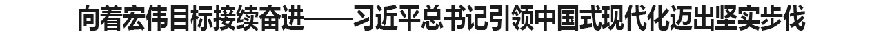向着宏伟目标接续奋进