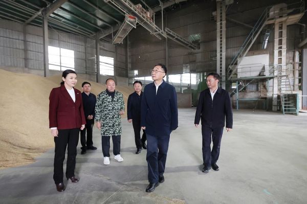 在罗山县彭新镇曾店村壮苗种植农民专业合作社