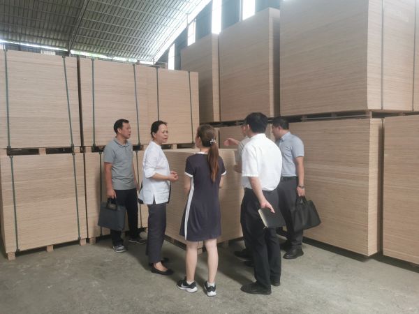 调研组深入南宁市武鸣区嘉福木业有限公司实地调研