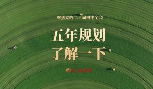 微视频 ｜ 五年规划，了解一下！