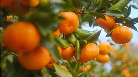 企業(yè)微信截圖_17610990934453