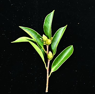 截图20251024164459