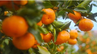 截图20251023094650