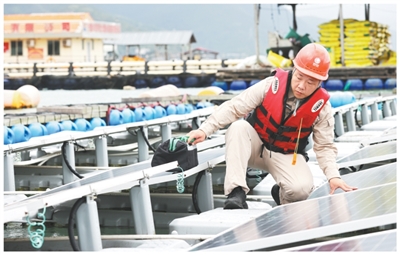 这群年轻人选择做“绿领”