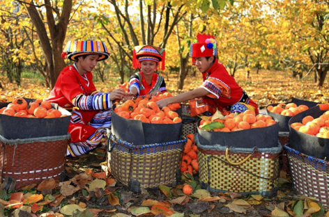 企業(yè)微信截圖_17616357484278