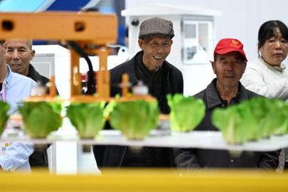 杨凌农高会照见农业未来