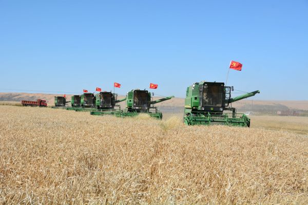 党旗在田间飘扬。刘鸿曦摄