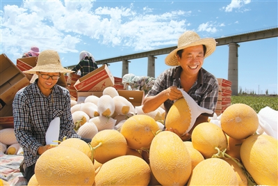“甜蜜引擎”激活乡村活力