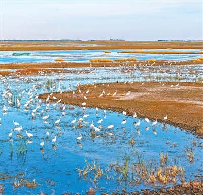 a42481be-2bd1-4cb2-a036-68a3d4036e6c