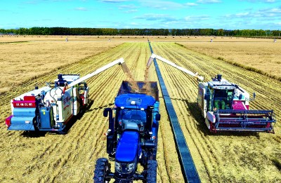 耕“云”种“数” 沃野孕育“新丰景”
