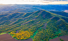 首批国家公园建设的显著成效与经验启示