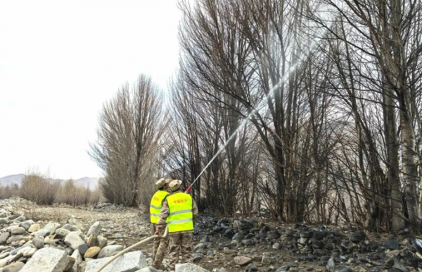 企業(yè)微信截圖_17628267411523