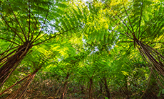 在守护与共享中发展国家公园生态旅游