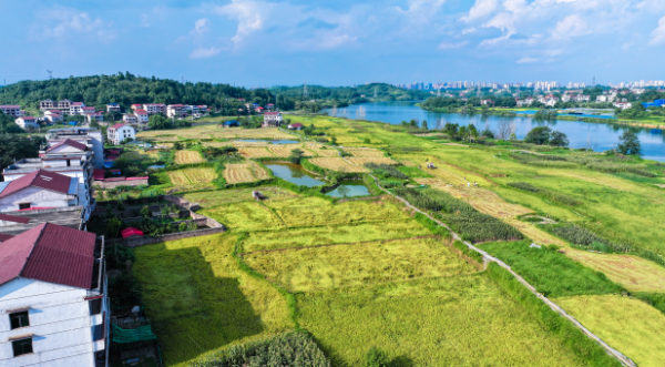 截圖20251113103612