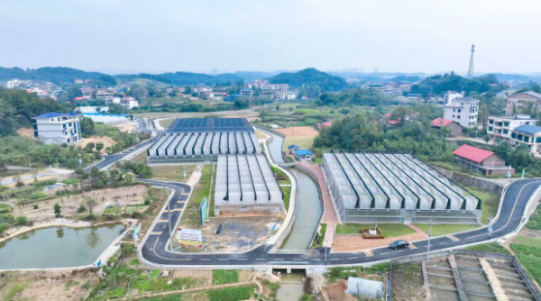 截圖20251113103656