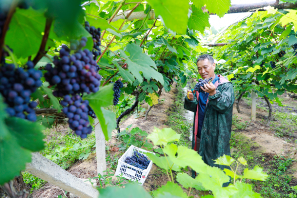 截圖20251113103728