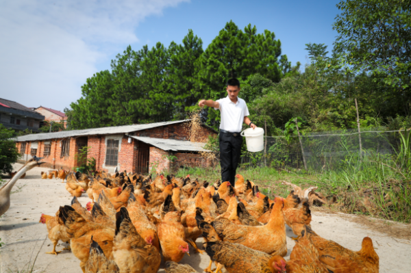 截圖20251113103830