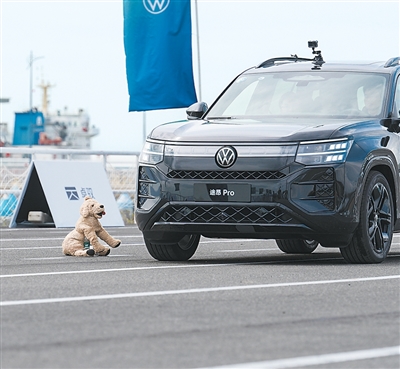 bd1295db-61ef-444f-9b92-6b0f0d0a5ca9