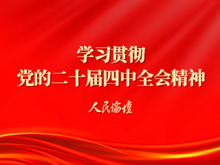 学习贯彻 党的二十届四中全会精神