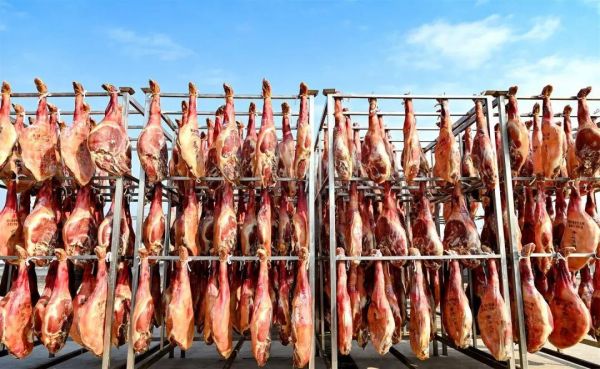 1989239613716959234_1280px (1)