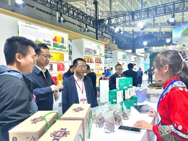 龙山县委常委、副县长孔箐锌