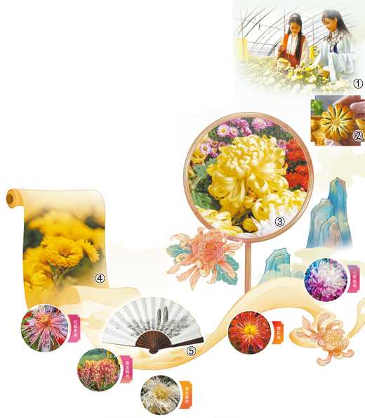 compressed-f37e4a47-9a4f-4c55-bd93-66df735d84a5