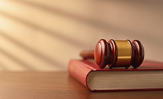 “十五五”时期更好发挥法治保障作用