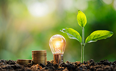 加强全国碳市场建设的顶层设计和政策落实