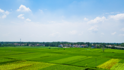 树立和践行大食物观 