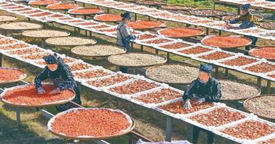 这三个群体，收入分配要“多得”