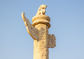 更好发挥宪法在治国理政中的重要作用