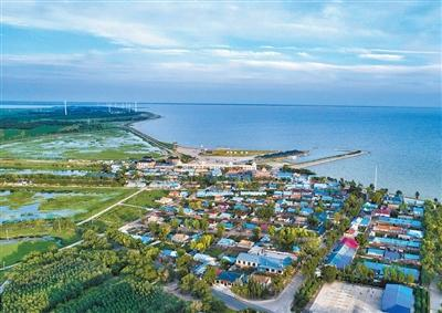 企业微信截图_17649802169613