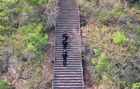 赤城山下写忠诚 “枫”景这边正好