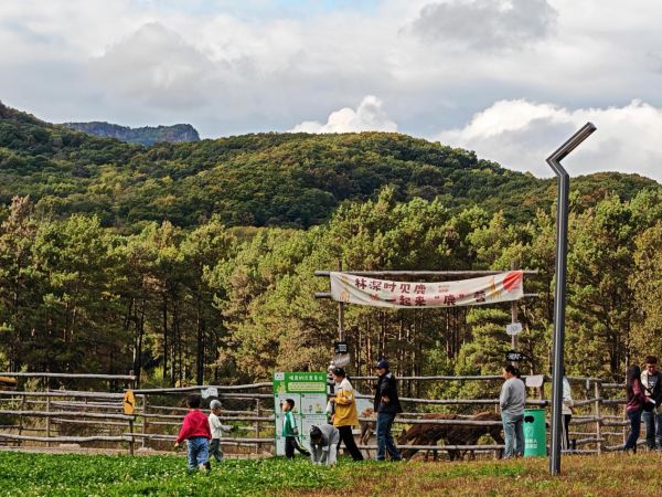 6cecba041c61e4c7486de507ed024620