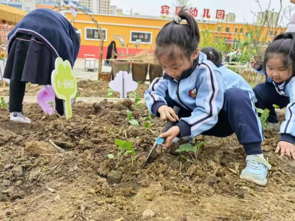 理念革新:筑牢精細(xì)化管理價(jià)值根基