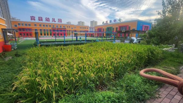 助力幼兒園從經(jīng)驗(yàn)管理邁向數(shù)據(jù)驅(qū)動(dòng)的科學(xué)管理