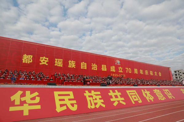 庆祝大会现场嘉宾席（县委宣传部供图）