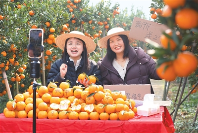 消费市场新意浓（锐财经）